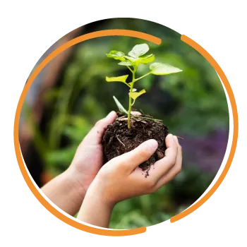 manos sosteniendo un brote